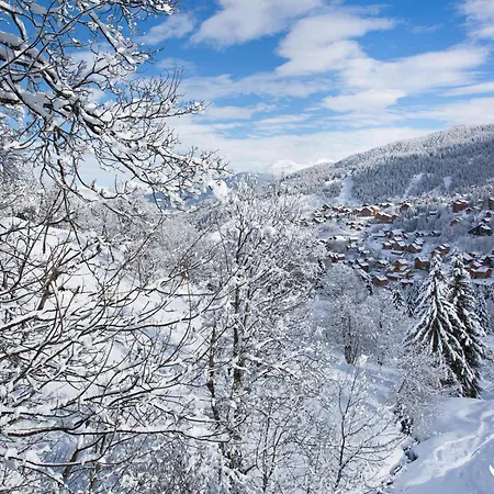 Apartment 2 Pieces Sur Les Pistes, Proche Commerces, Animaux Admis, 4 Personnes - Fr-1-182-203