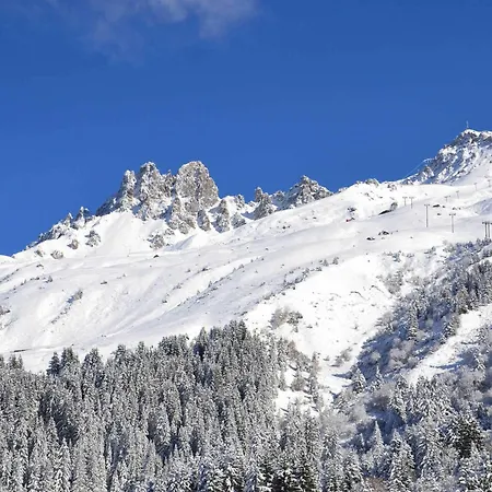 Apartment 2 Pieces Sur Les Pistes, Proche Commerces, Animaux Admis, 4 Personnes - Fr-1-182-203 *
